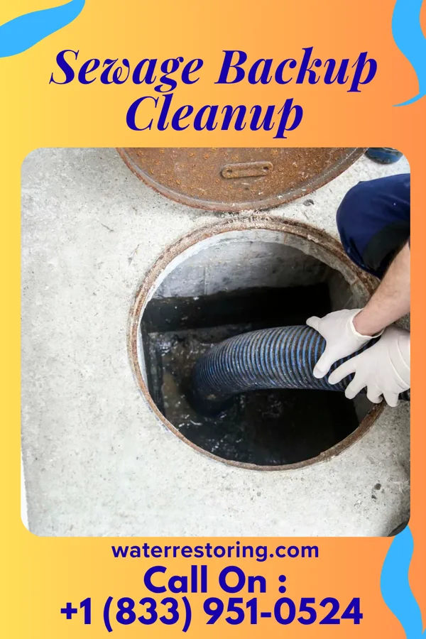 Sewage Backup Cleanup in Vernon, FL